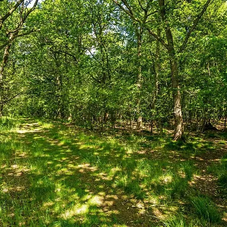 Amazing In With Wifi Feriehus Hampen